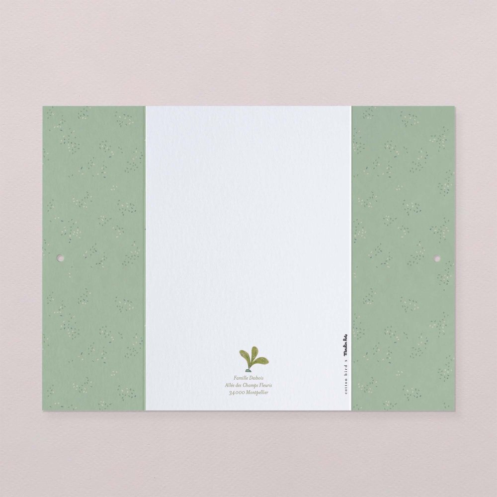 Fleur de sureau