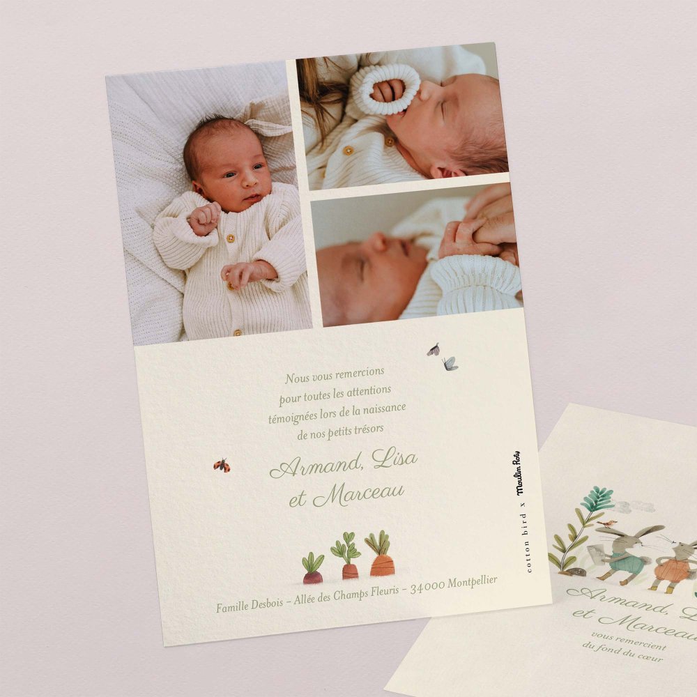 Trois petits lapins