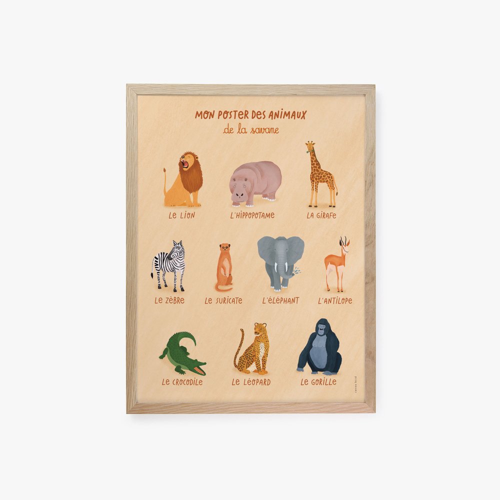 Cartes animaux de la savane