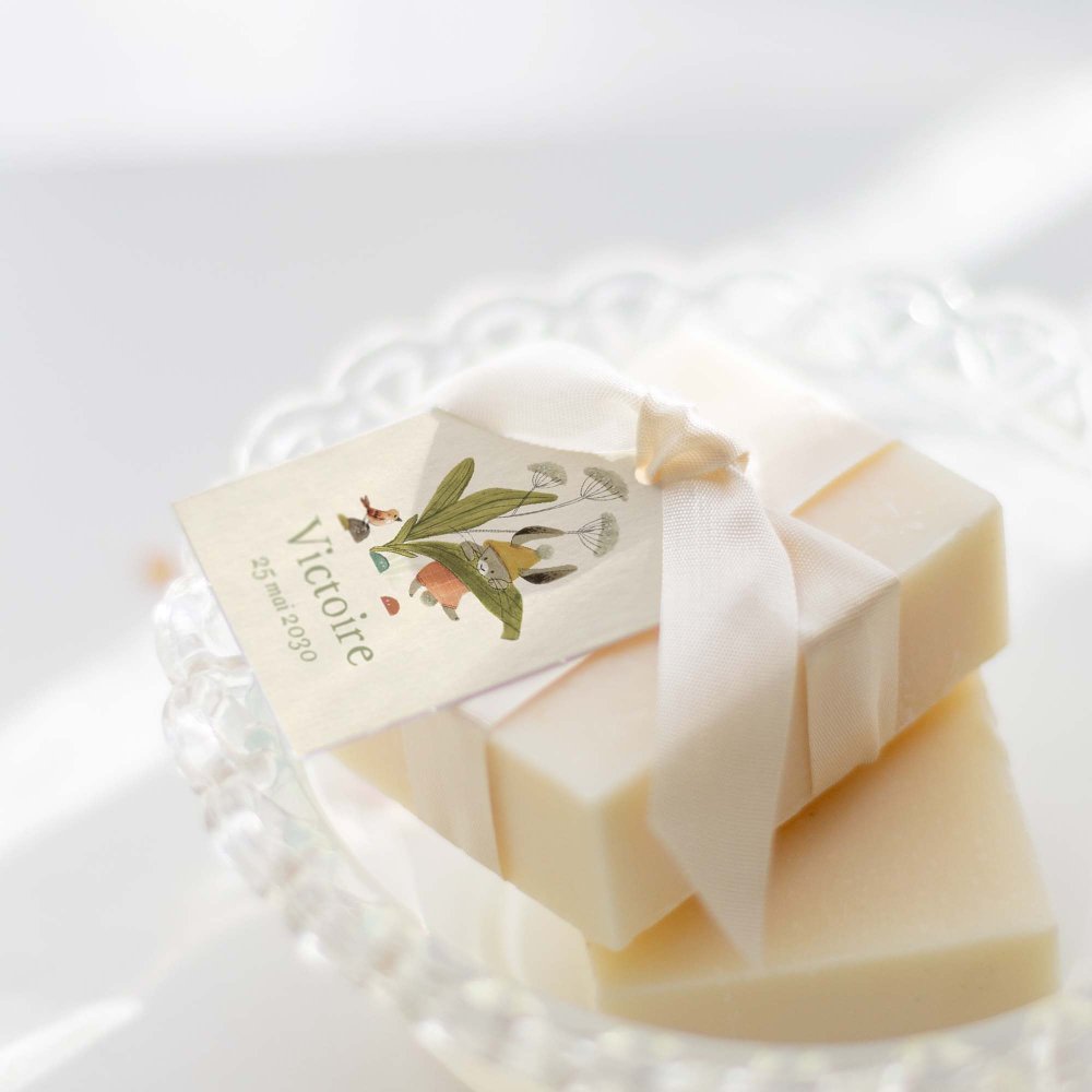 Fleur de sureau