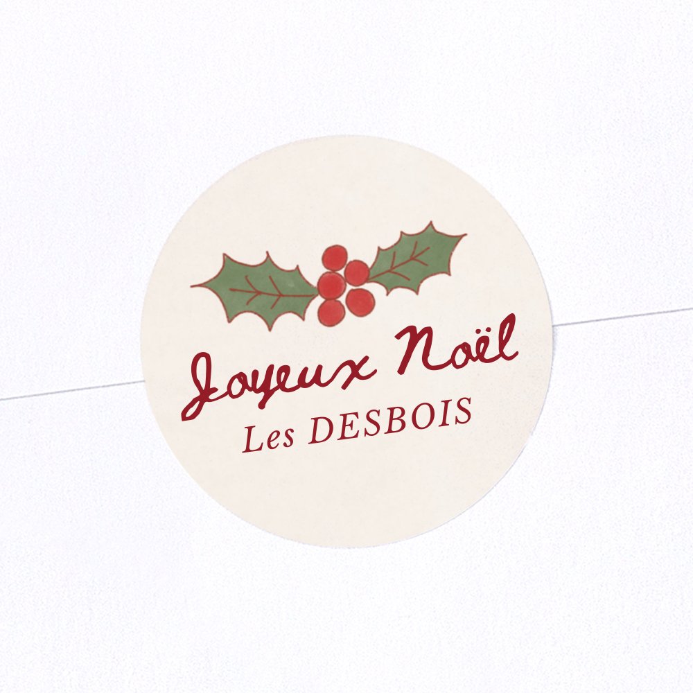 Hotte de Noël