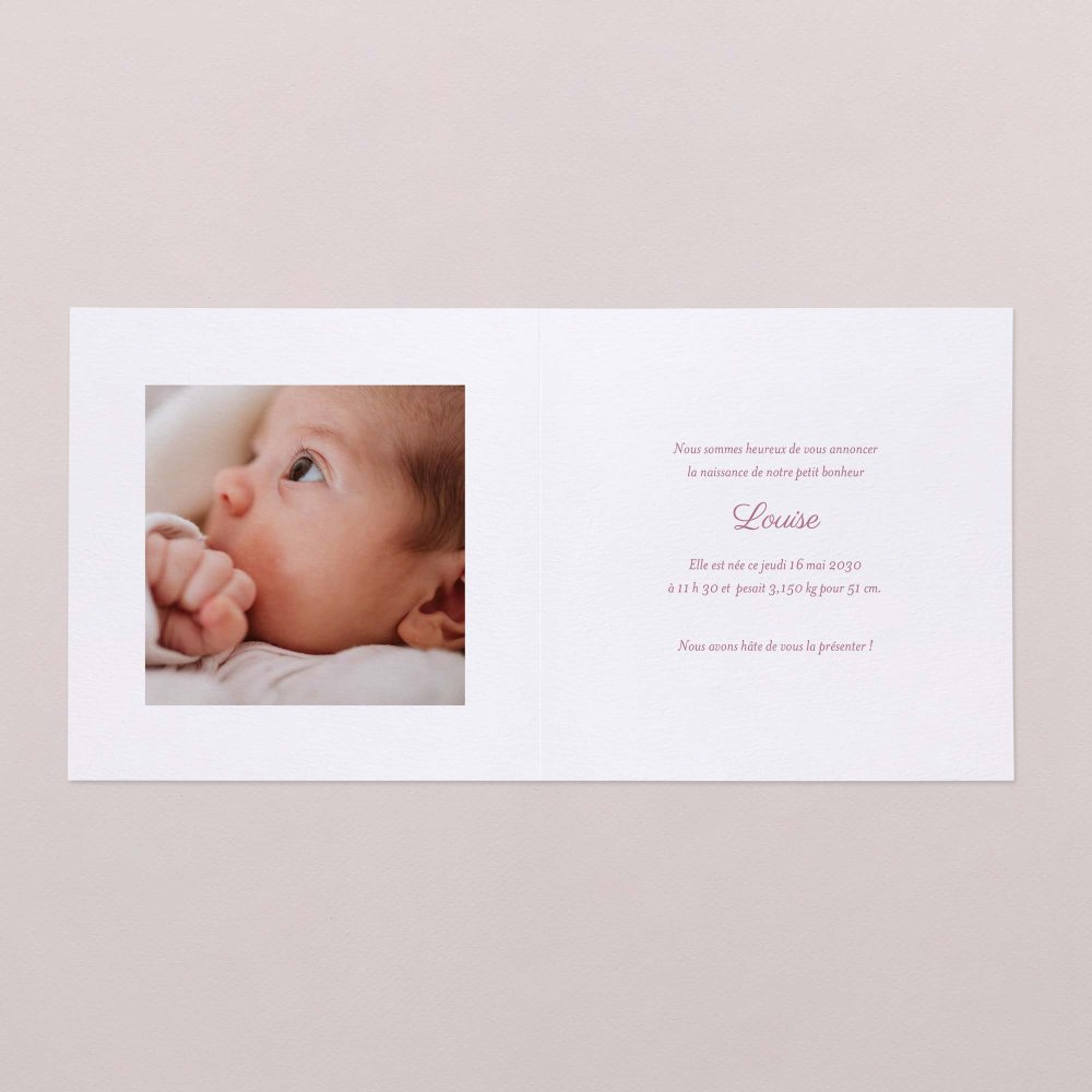 Claudine - rose