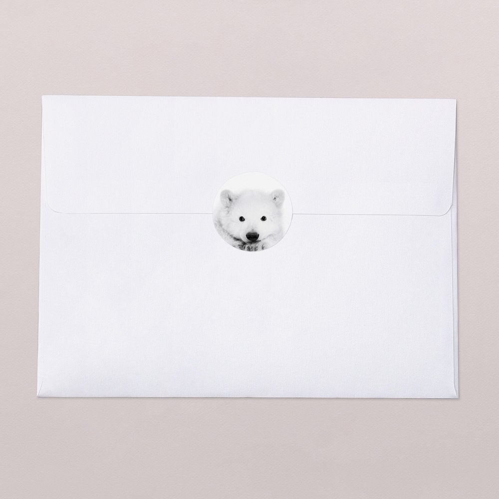 Scandi Bear
