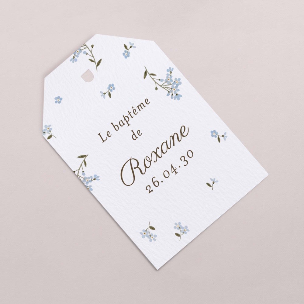 Little myosotis