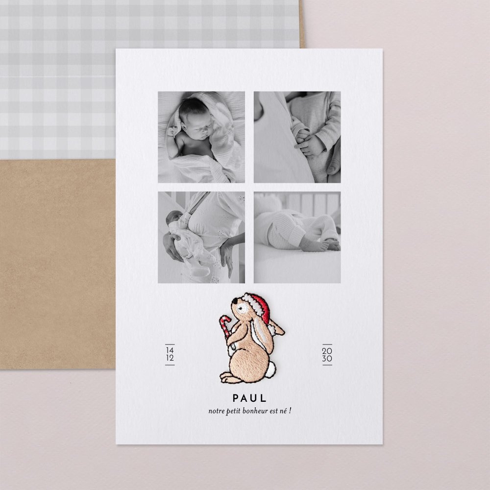 Petit ours brun