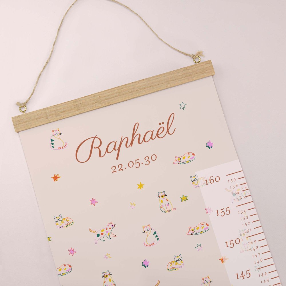 Baby cat