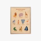 Cartes animaux de la savane
