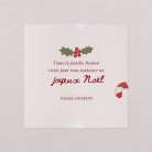 Hotte de Noël
