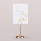 Gypsophile