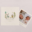 Deux petits lapins