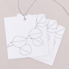 Pilea