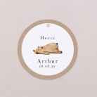 Petit ours