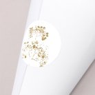Gypsophile