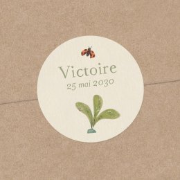 Fleur de sureau
