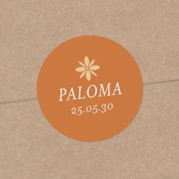 Photomaton-terracotta