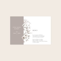 Linia