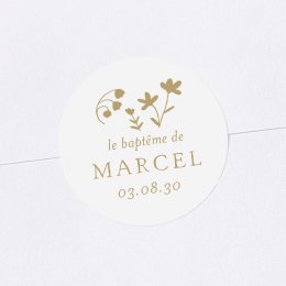 Bois précieux
