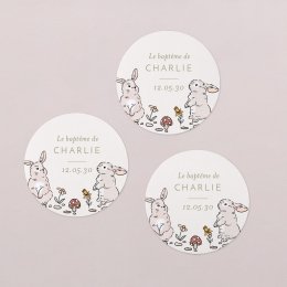 Petit lapin