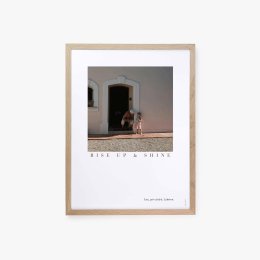 Pola